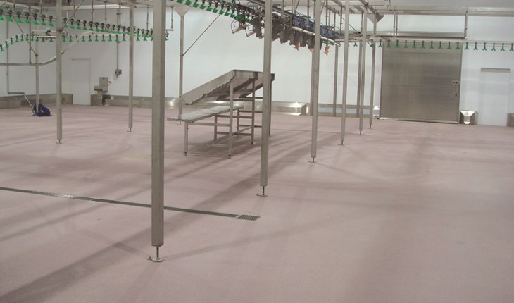 Internal Floor.jpg